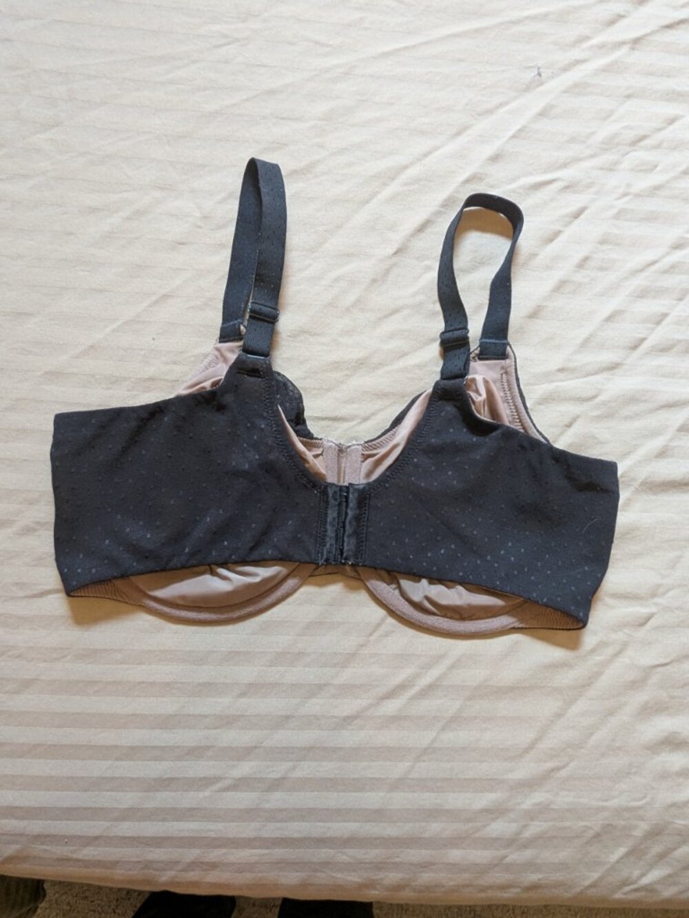 Wacoal Back Appeal Seamless Underwire Bra 855303 36G - Picture 2 of 10